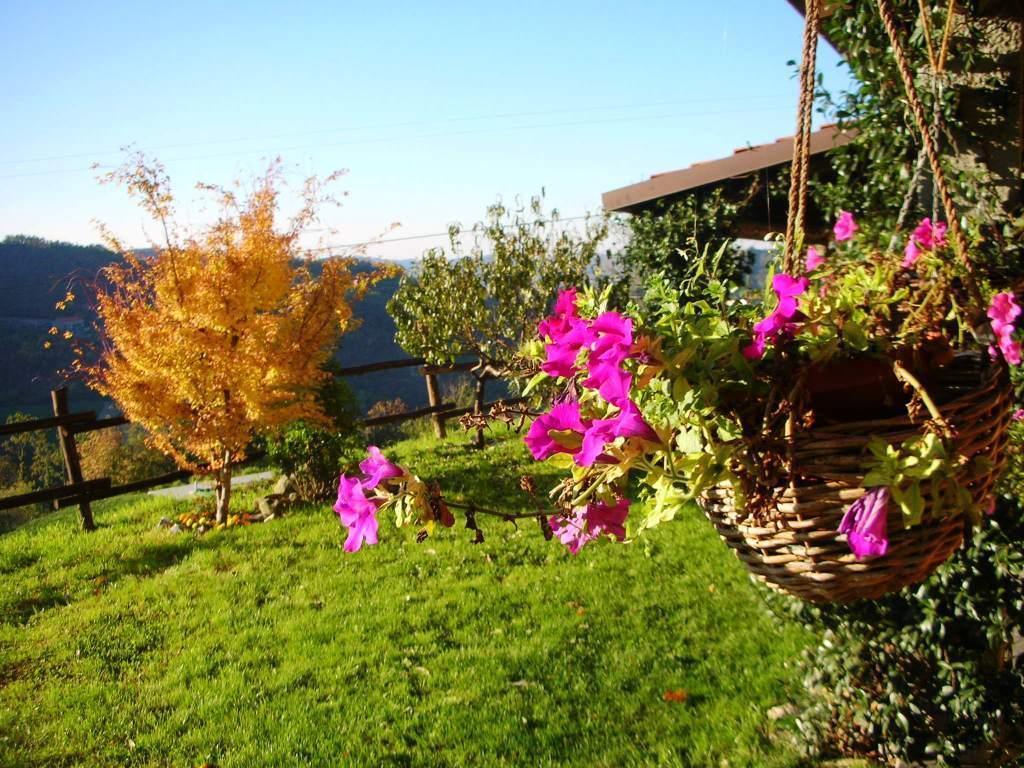 Agriturismo Le Piagge Ponzone Ngoại thất bức ảnh